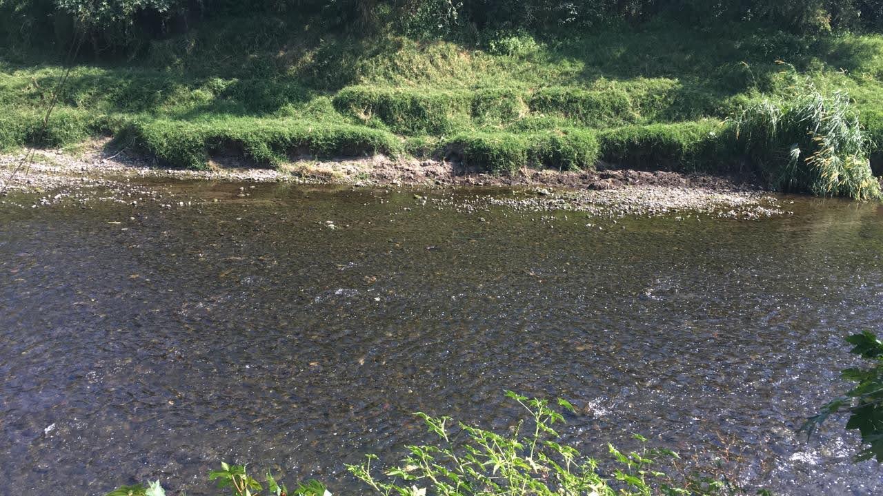 Imagen del río Apatlaco