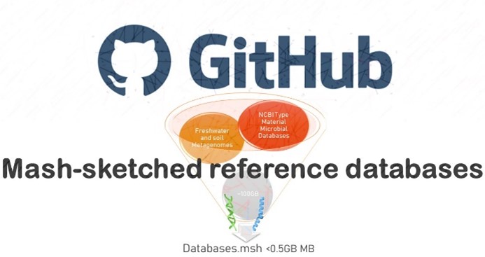 Imagen de github