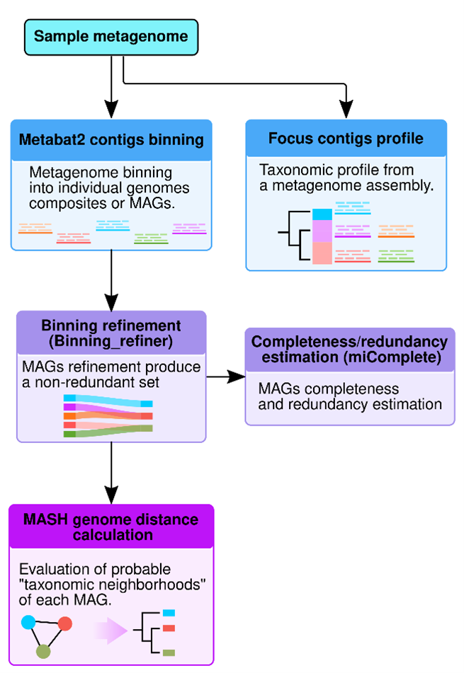 Imagen de diagrama